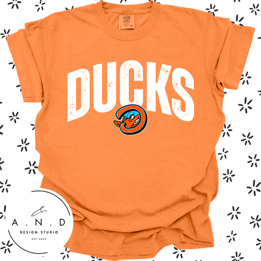 Ducks Distressed