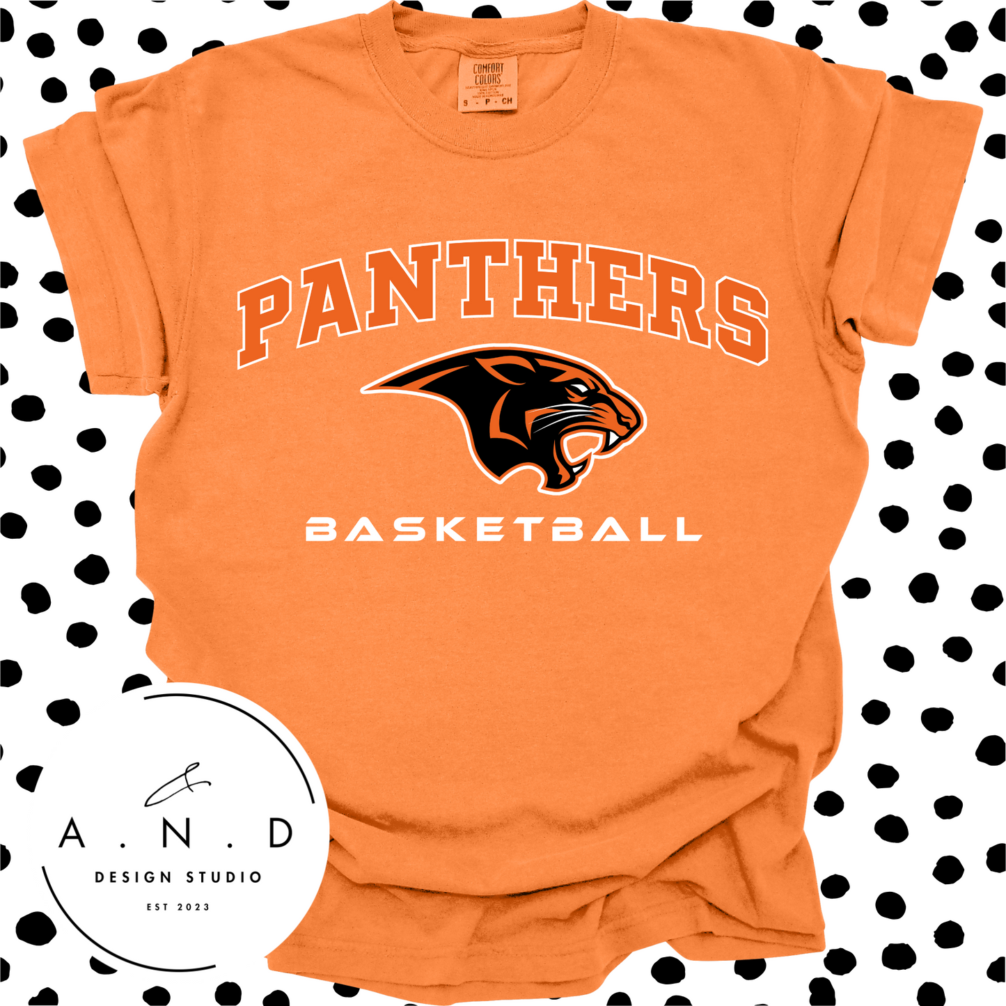 Panthers Basketball