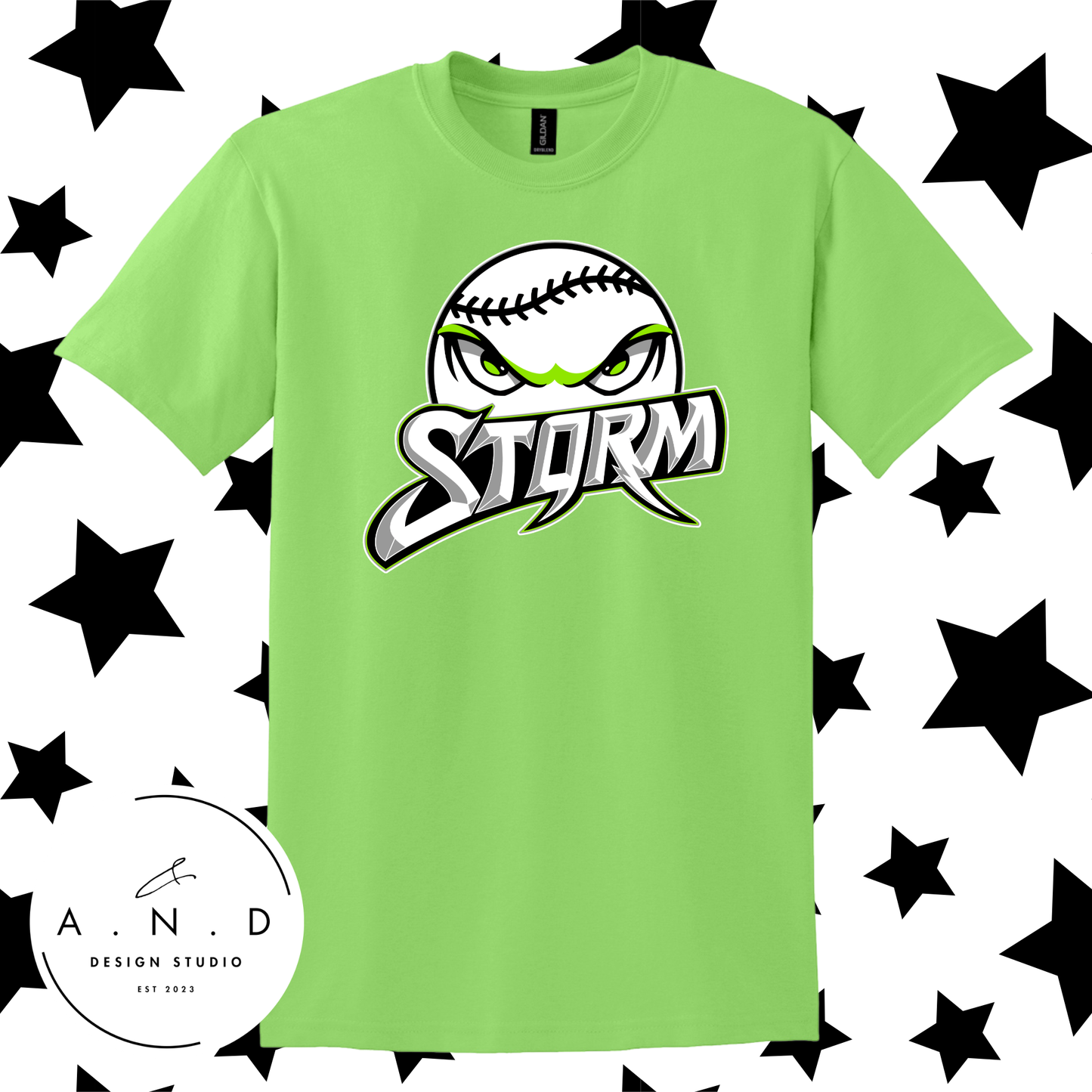 Storm Baseball Logo