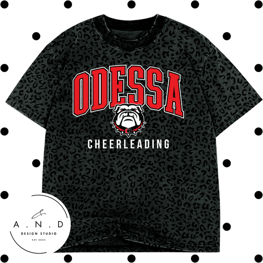 Odessa Cheerleading Vintage Camo/Vintage Leopard
