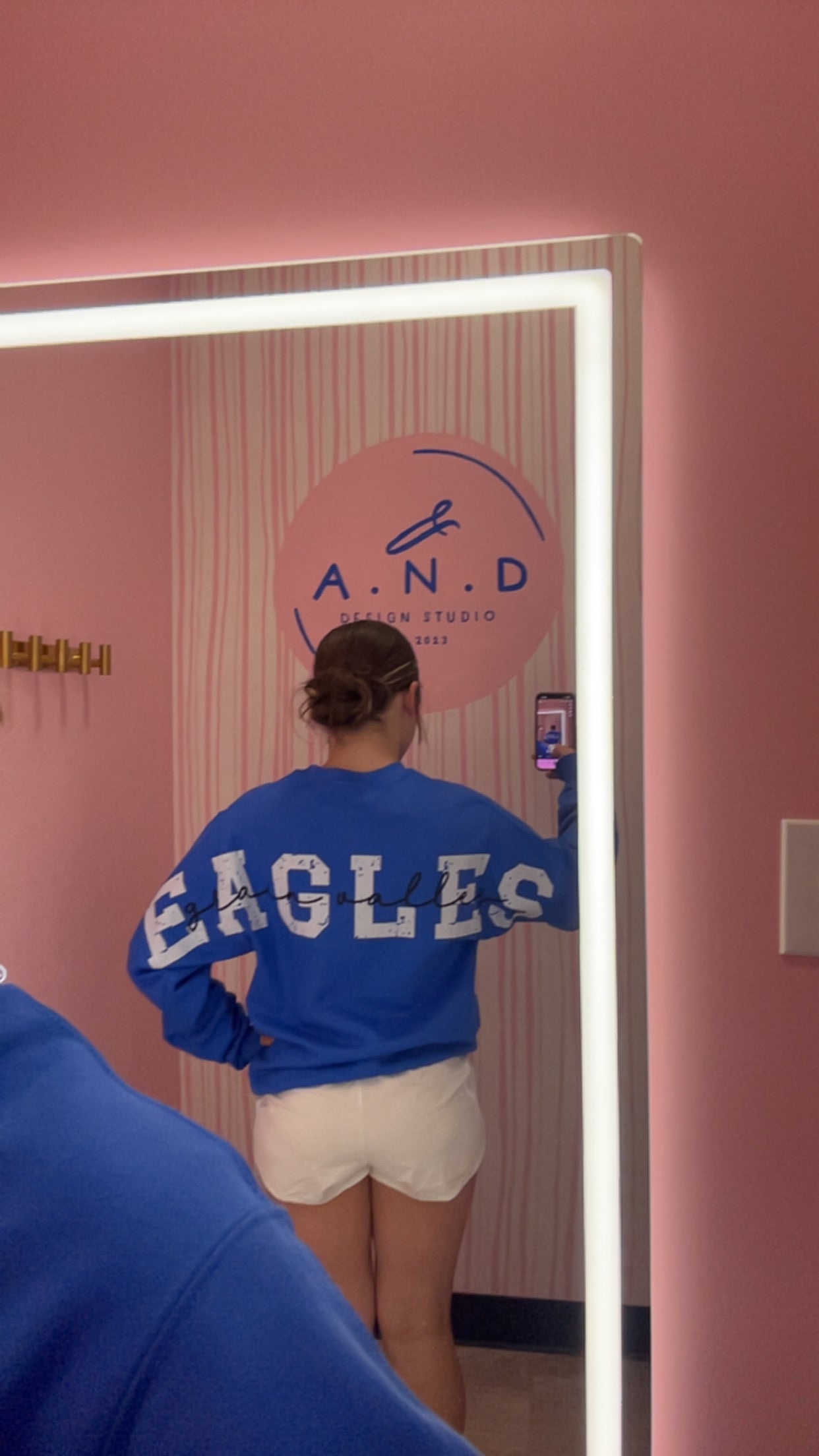 GV Eagles Big Back Sweatshirt