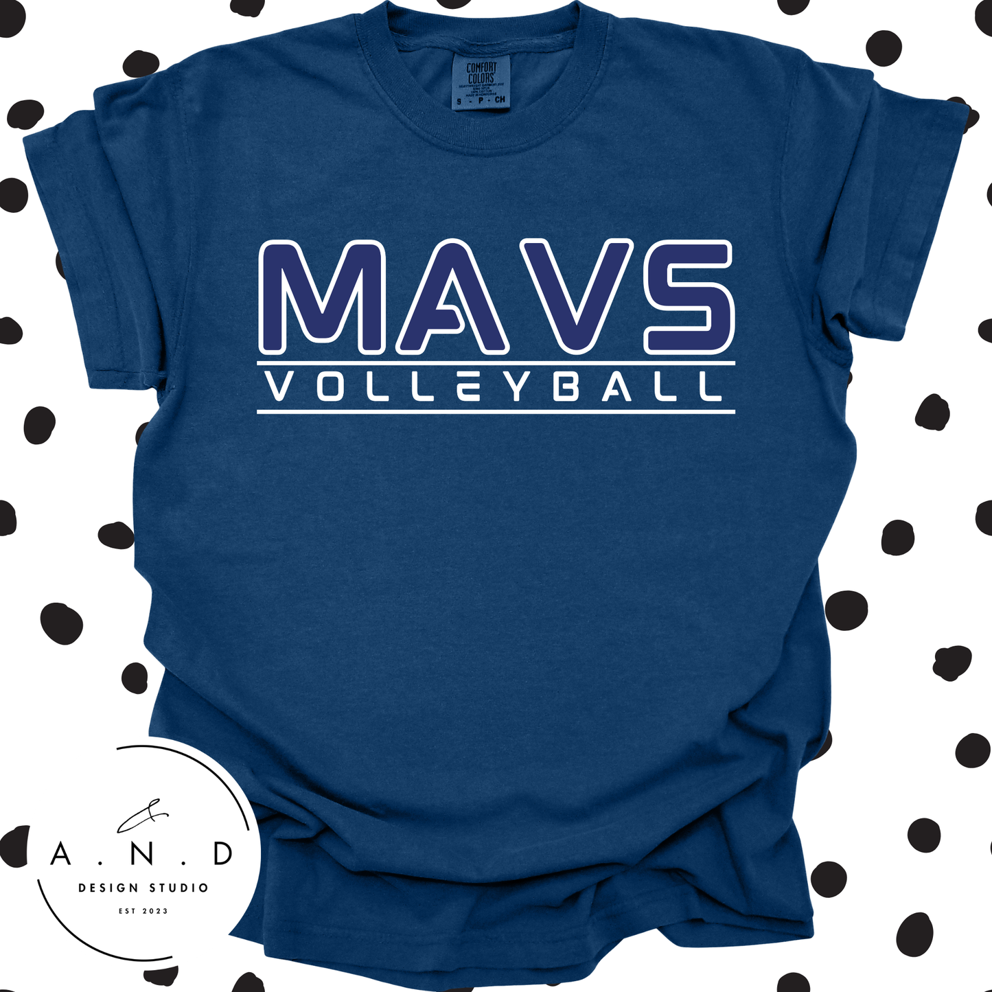 MAVS Volleyball