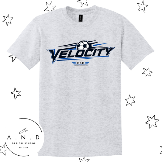 Velocity Eagles Soccer