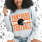 OG Panthers Football Helmet