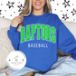 Raptors Baseball- Stacked