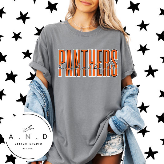 Panthers Basketball