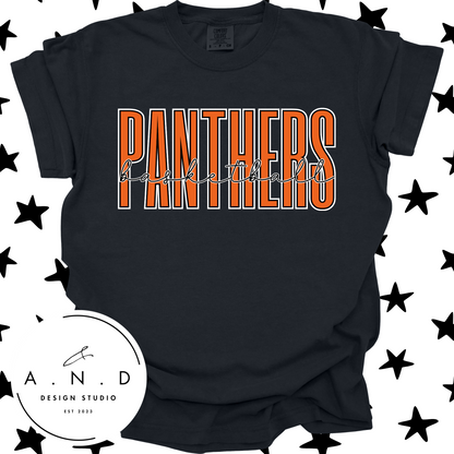 Panthers Basketball