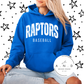 Raptors Baseball- Distressed