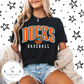 Ducks Baseball Stacked