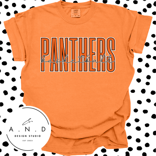 Panthers Basketball
