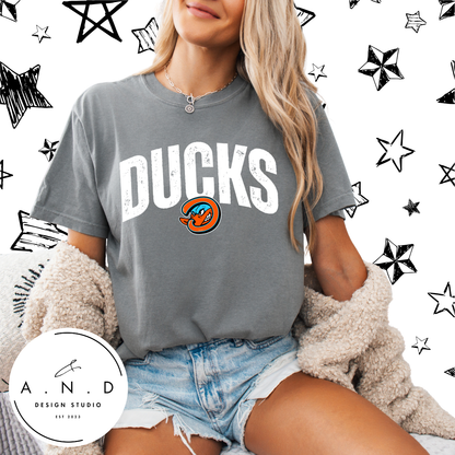 Ducks Distressed