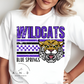 Wildcats Checkered Distressed