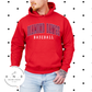 Diamond Dawgs Baseball