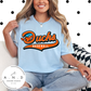 Ducks Baseball Logo