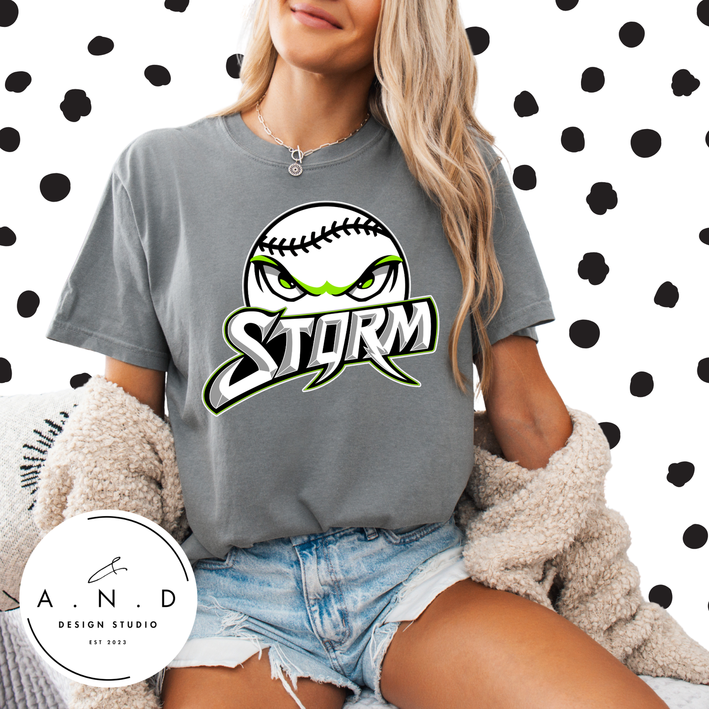 Storm Baseball Logo