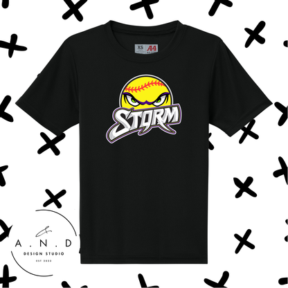 Storm Softball- performance