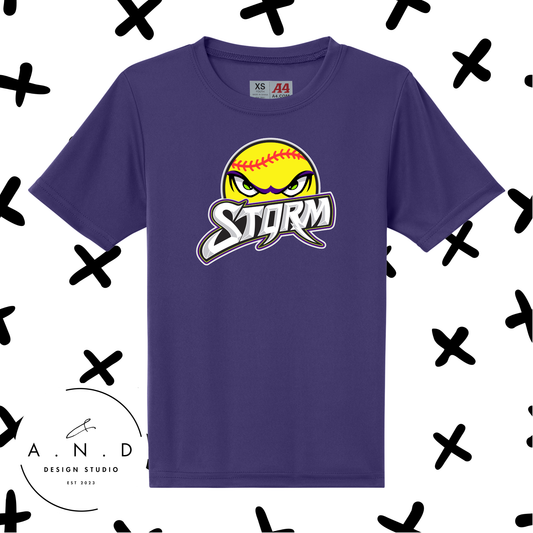 Storm Softball- performance