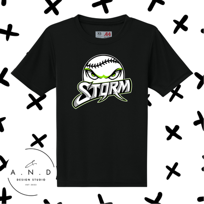 Storm Baseball- performance