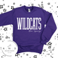 WILDCATS Blue Springs