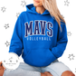 MAVS Volleyball
