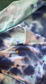 KC Tie-Dye - Current