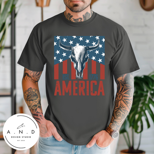AMERICA