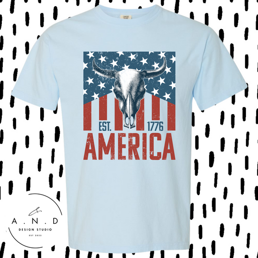 AMERICA