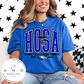 GVHS - HOSA