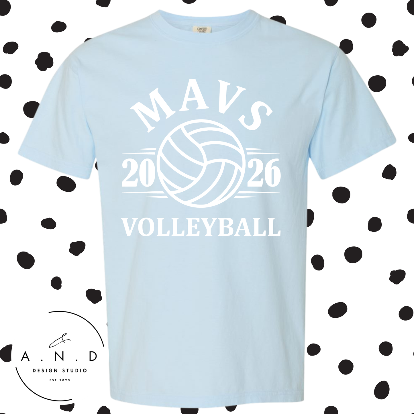 MAVS Volleyball 2026