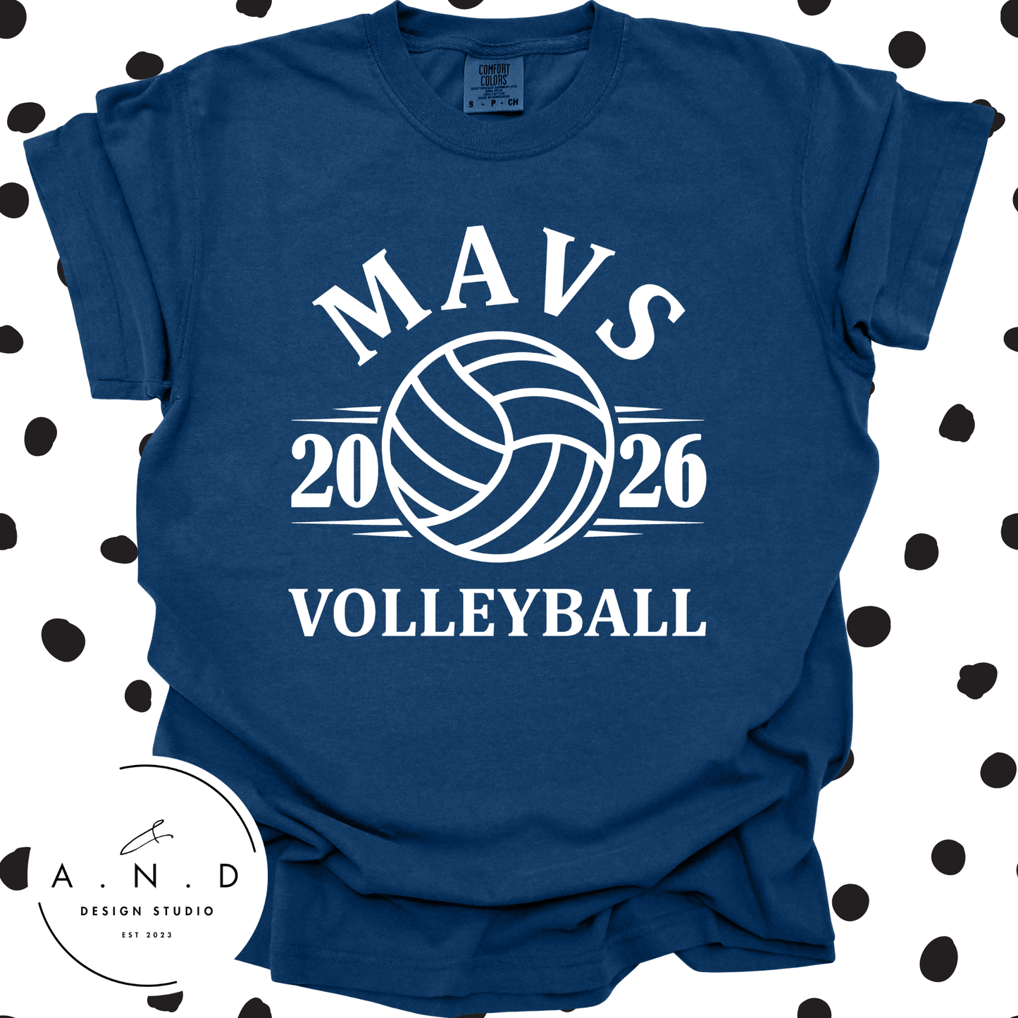MAVS Volleyball 2026