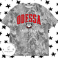 Odessa Cheerleading Vintage Camo/Vintage Leopard