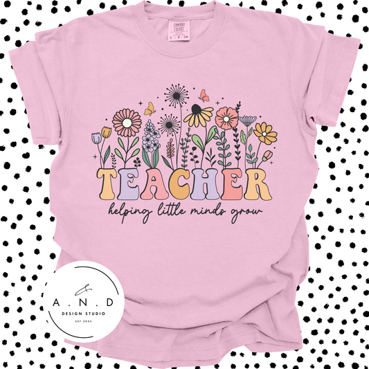 TEACHER - Helping Little Minds Grow