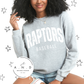 Raptors Baseball- Distressed