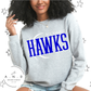 HAWKS Basketball
